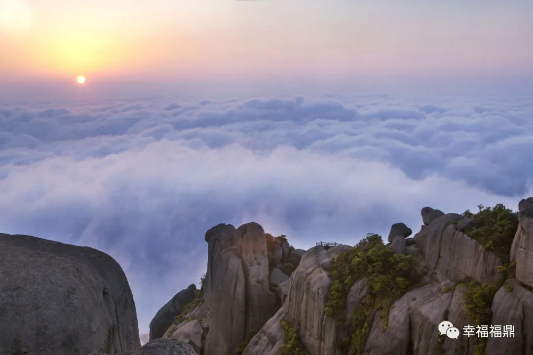 前国家队明星,福鼎足球赛