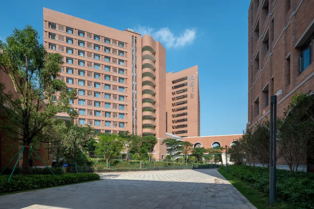 凤凰木守护的校园|深圳中学（泥岗校区）