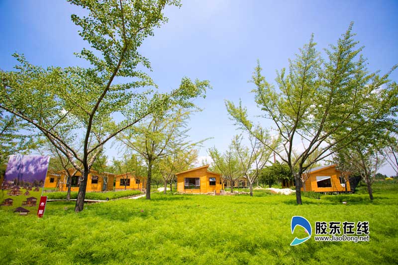 小草沟乡村旅游度假村,乡村旅游景点提质升级