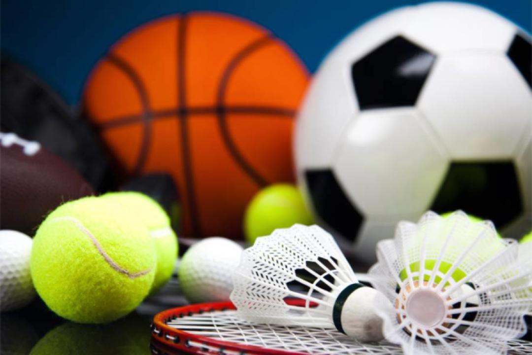 体育培训班一对二训练,现代教育培训机构一节课220元