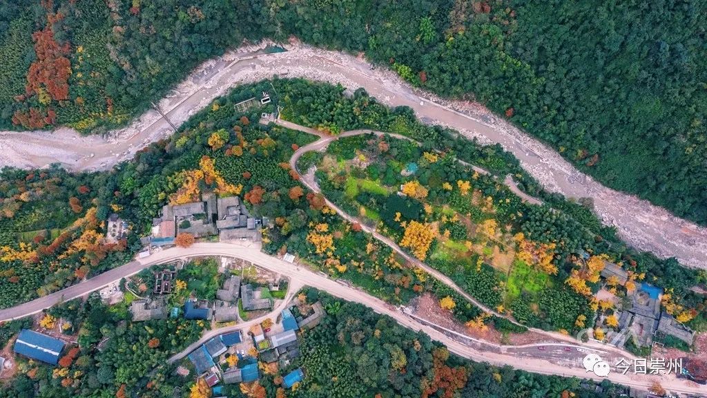 初秋彩林成都周边秘境,成都附近彩林秘境