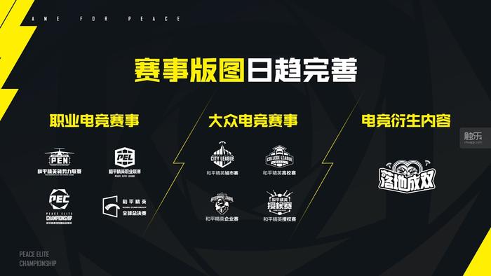 2020年和平精英国际冠军杯演唱会,和平精英2020国际冠军杯官方网站