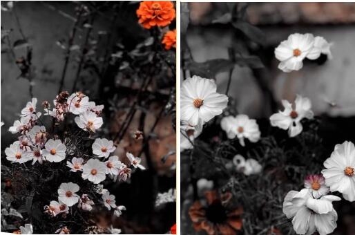 山东艺术设计,山东艺术设计职业技术学院