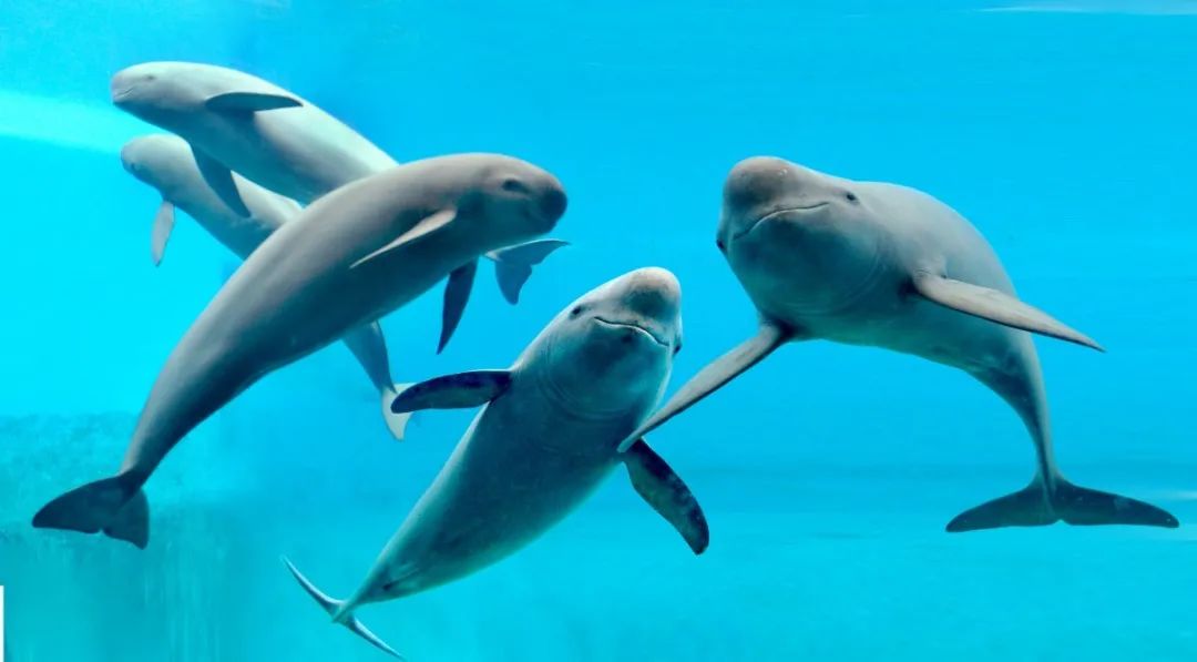 最美乡村游推荐湖北,10条线路村游湖北