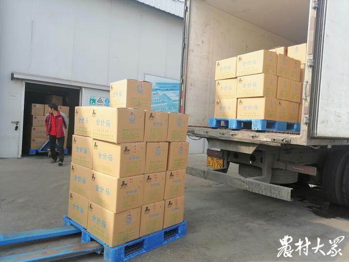 村集体经济发展成效,村集体经济发展现状及发展思路