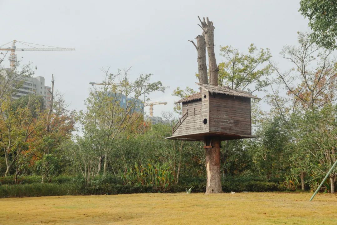 江北打卡公园,有颜值更有内涵