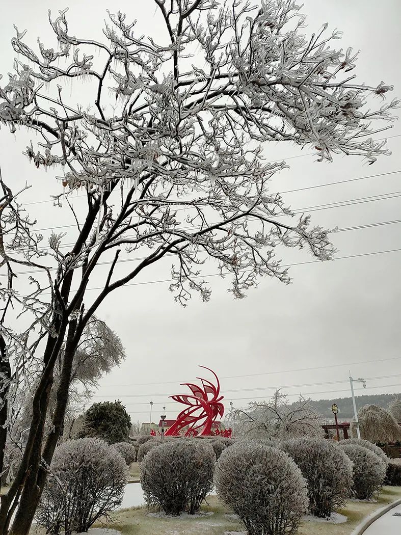延边滑雪东北已率先进入雪季,延边开启滑雪季快来嗨翻冬天