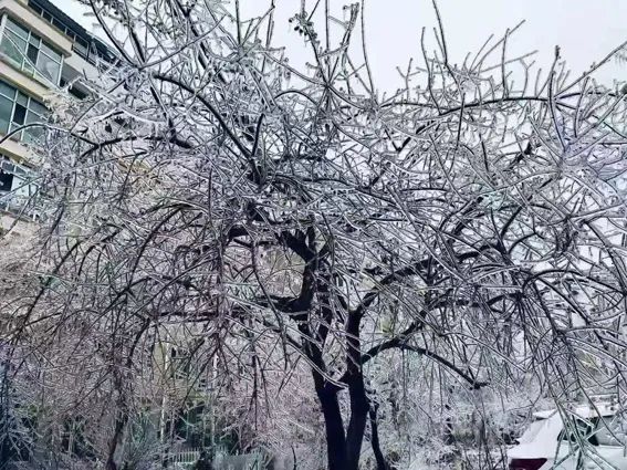 延边滑雪东北已率先进入雪季,延边开启滑雪季快来嗨翻冬天