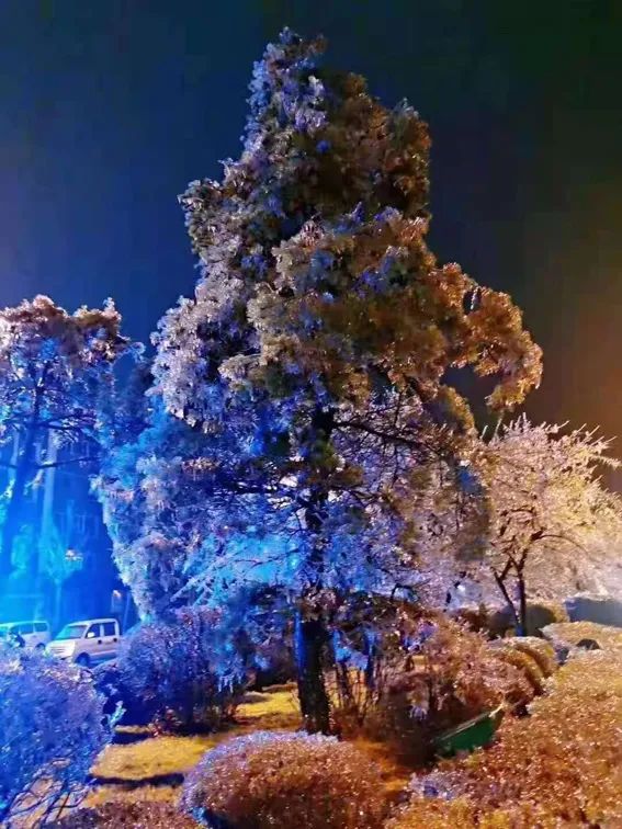 延边滑雪东北已率先进入雪季,延边开启滑雪季快来嗨翻冬天