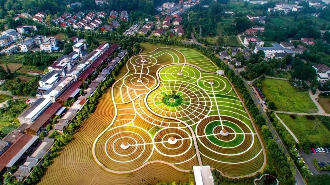 鑸媿褰窞鍏ㄦ櫙瑙嗛,鍑犱綍鑸媿