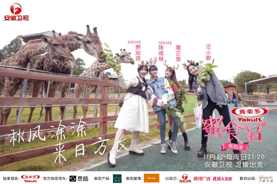 全新升级与回归，《蜜食记6》如何借用美食与友谊诠释爱与真实？