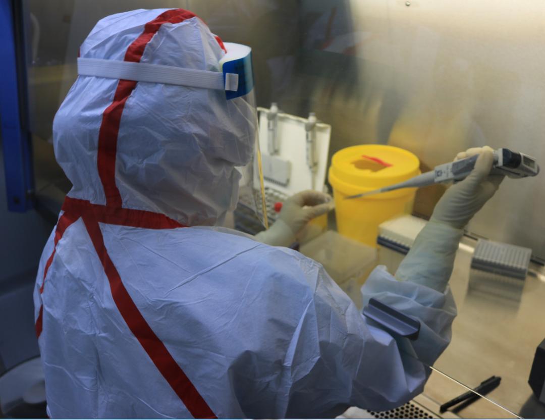 卫生健康委表彰先进,卫生健康系统表彰方案