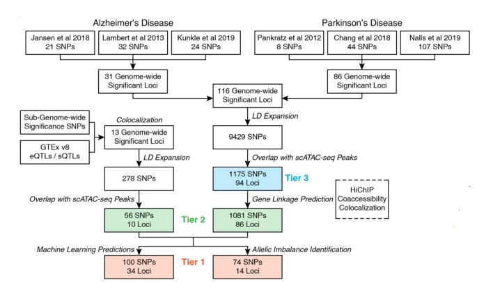 「长文解读」NatGenet︱阿尔茨海默症和帕金森病的单核苷酸多态性研究,揭示两种疾病的遗传风险位点的变异