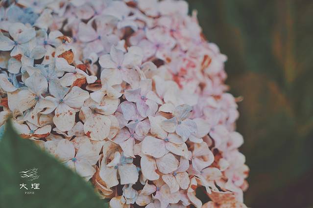 长沙自驾去大理多少钱,生活需要惊喜自驾直奔大理