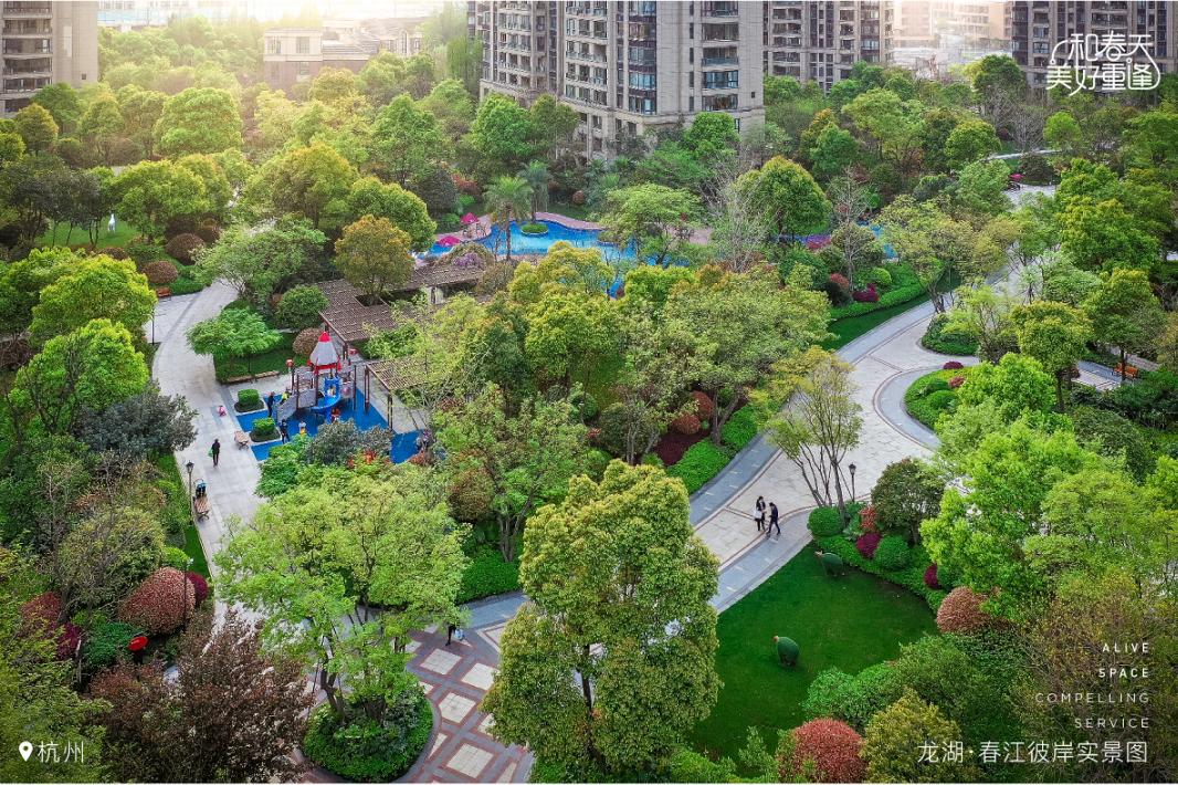 滨江高端小区比较集中的区域,滨江top5小区