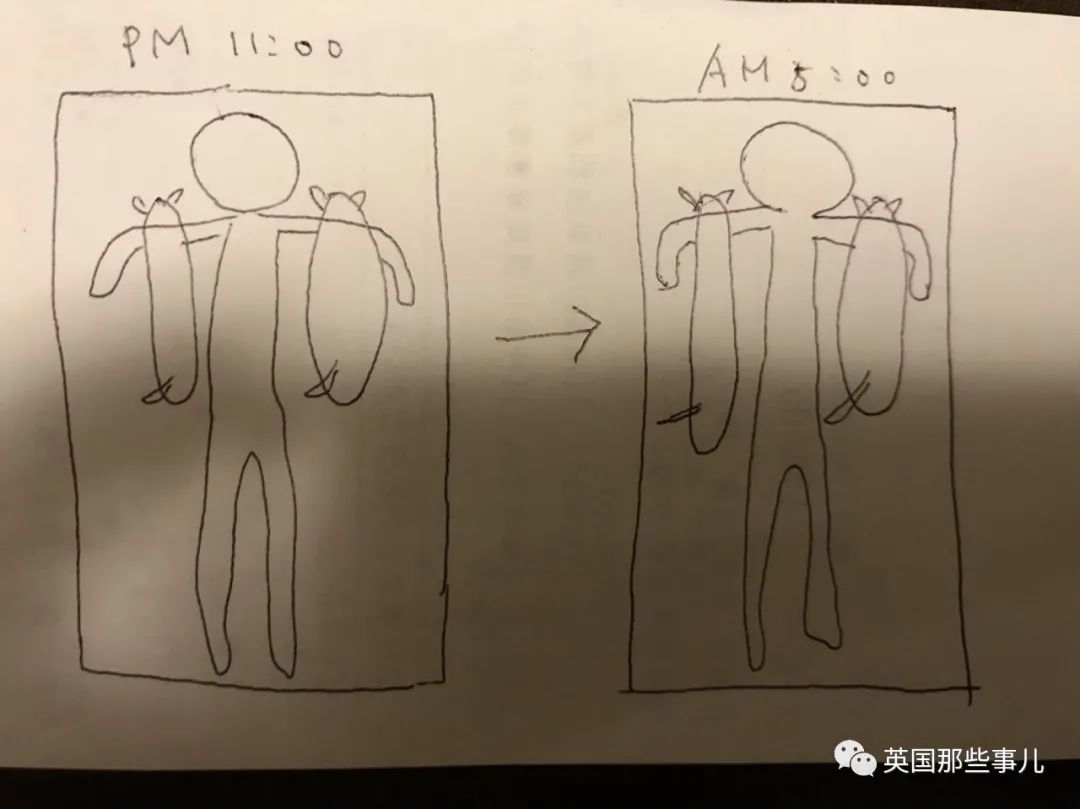 多猫家庭猫咪也会尿闭吗,多猫家庭为什么不能洗澡