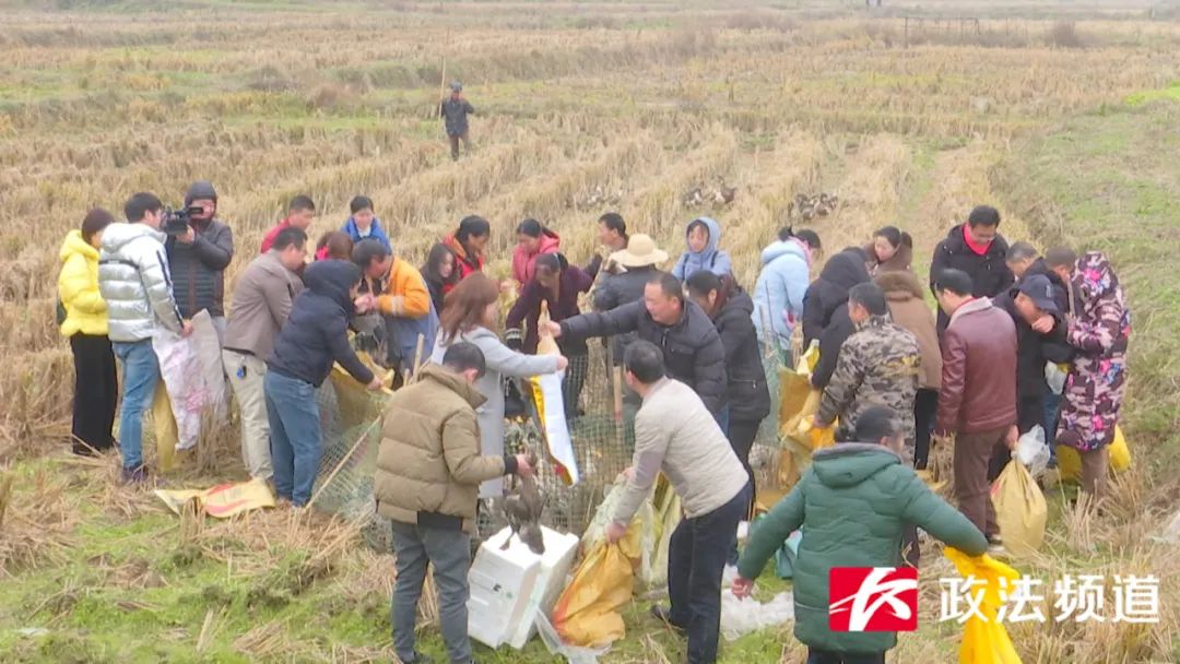 长沙买鸭的地方,长沙买鸭