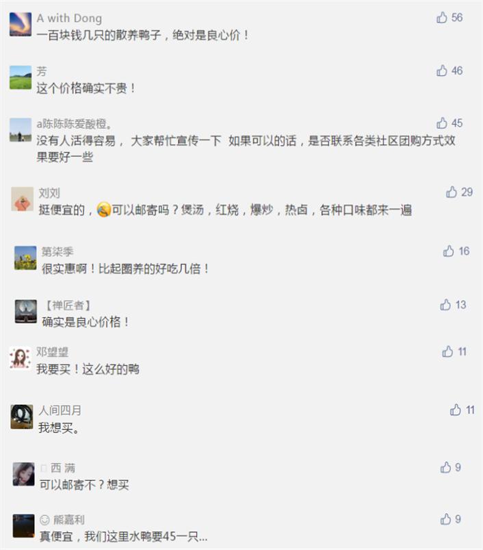 湖南买鸭,长沙买鸭