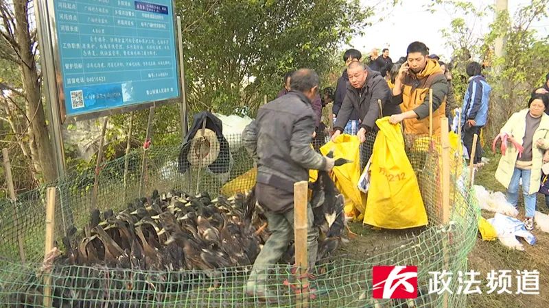 转发扩散!手机下单就能买鸭,购买流程看这里