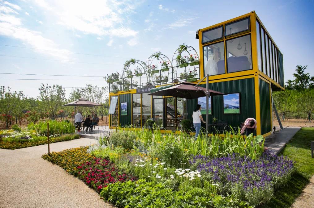 杜邑公园雪景,杜邑遗址公园6月风景