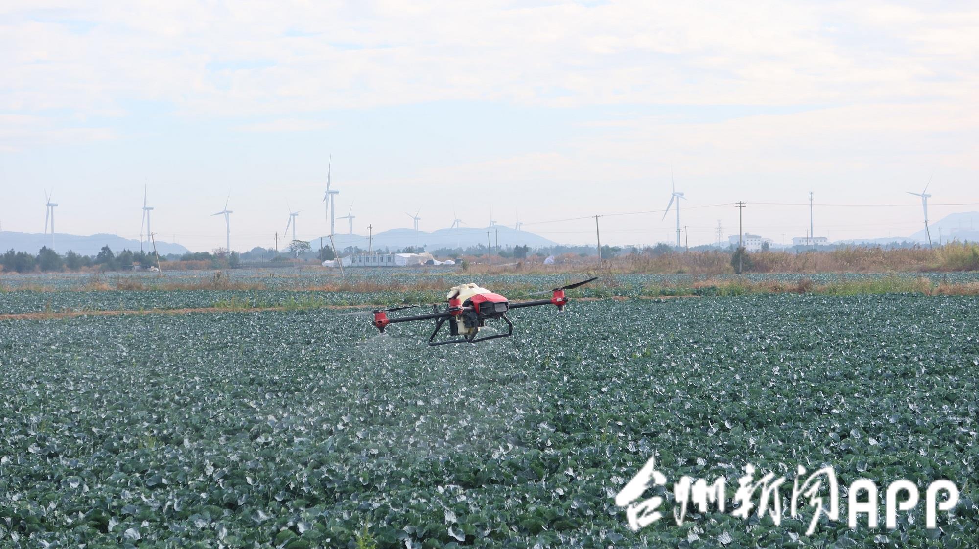 涓浗涓夊啘缃戣嚧瀵岀粡,涓浗鍐滀笟缃戣嚧瀵岀粡