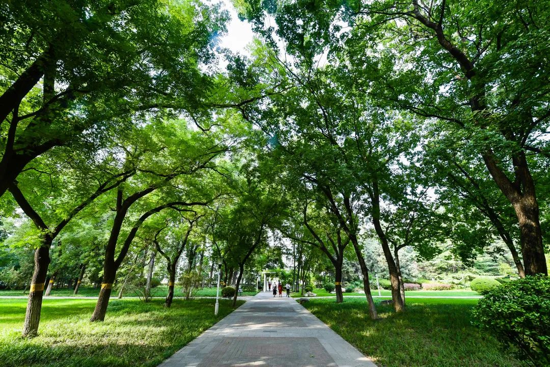 北航2021年各省各专业招生计划,北航2023年各省各专业招生计划