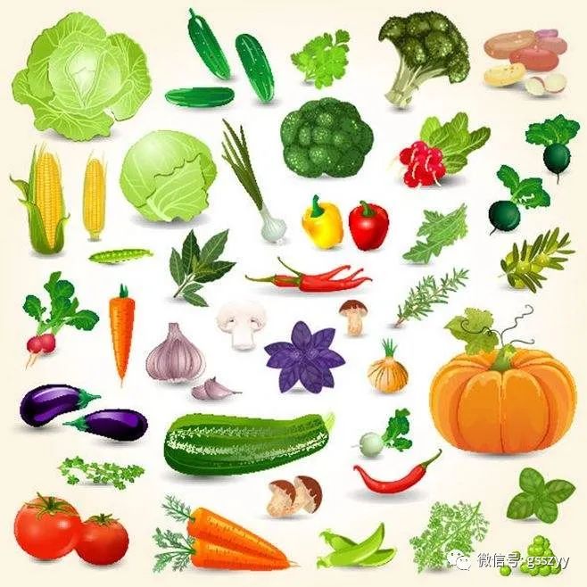 手脚冰凉冬至节气怎样养生,节气养生知识大全图解