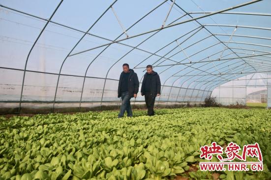 焦裕禄深入田间地头的故事,焦裕禄埋头苦干