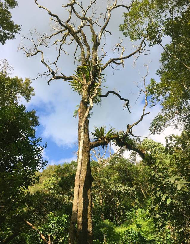 海南环岛自驾十日游,海南环岛自驾游的第1天
