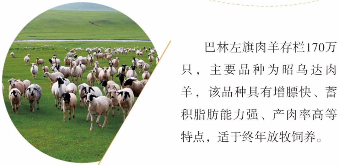 投资巴林,投资热土创业项目