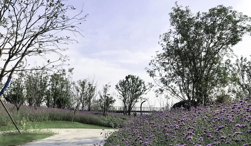 缓解城市热岛效应的措施,缓解城市热岛效应的有效建议