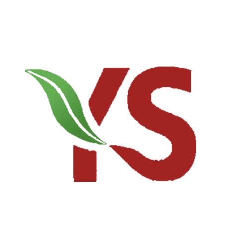 寒假学乒乓球,寒假学轮滑好吗