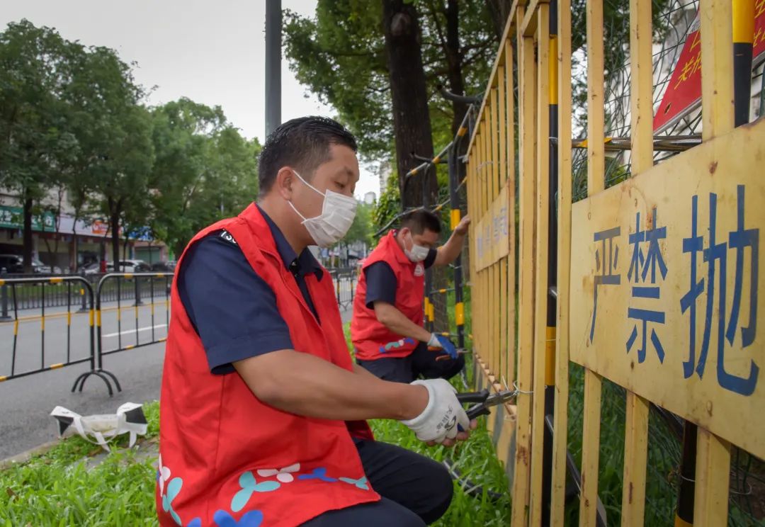 大浪街道拍了拍“你”，并递上2020成绩单
