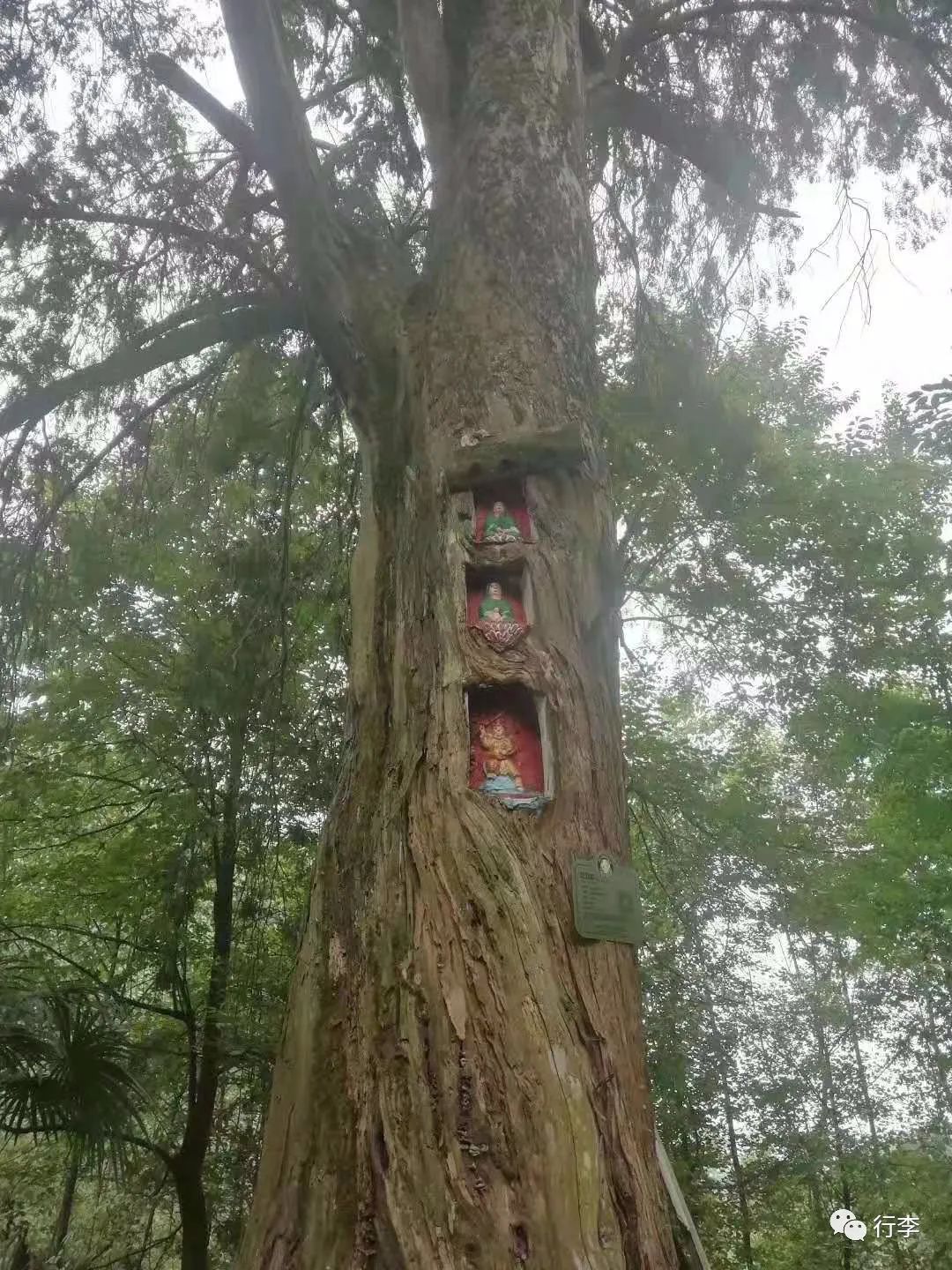 行李︱梁冰：川西坝子场镇十来个