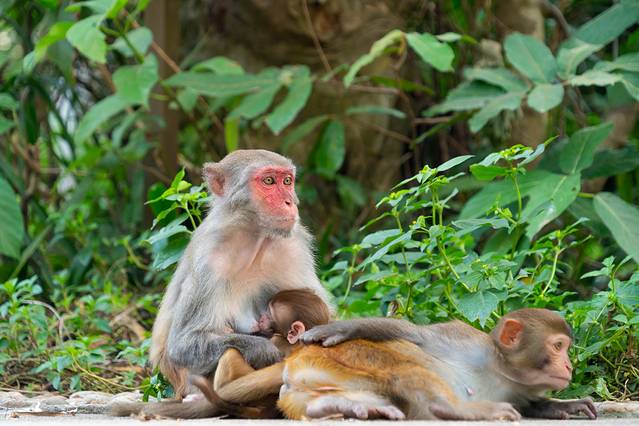 三亚旅游全攻略亚特兰蒂斯,2018最详细的三亚吃货游玩攻略