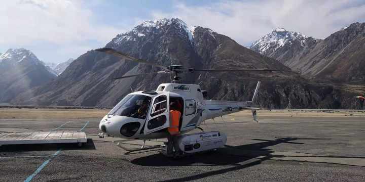 董董飞澳洲-董董待在家里守阵地-董董要失业-董董，2020年一个朋友圈名字的心酸历程