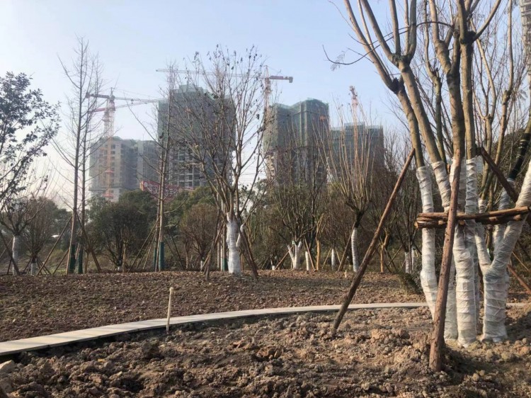 高家坝足球公园什么时候完工,高家坝足球公园足球场对外开放吗