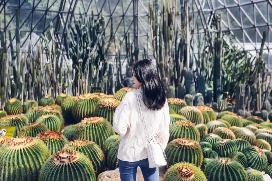 深圳值得打卡拍照的地方10月份,深圳绝美打卡地三月份