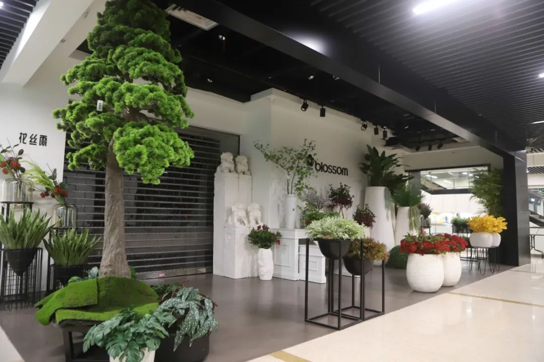 深圳值得打卡拍照的地方10月份,深圳绝美打卡地三月份