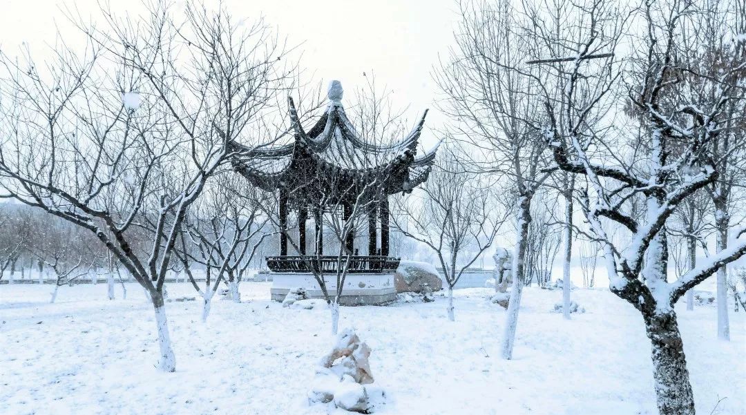 omg超实用的寒假指南请查收,天大学子