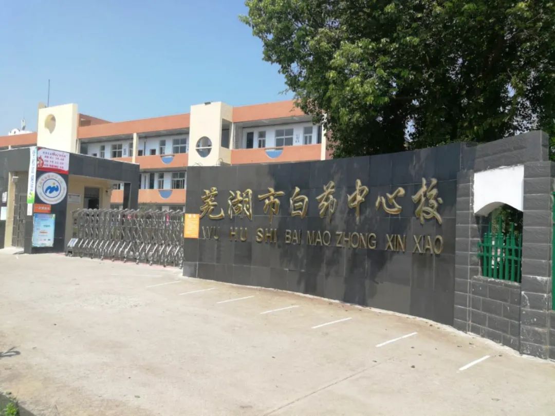 贯彻新发展理念提升县域经济实力,鸠江区十四五发展战略