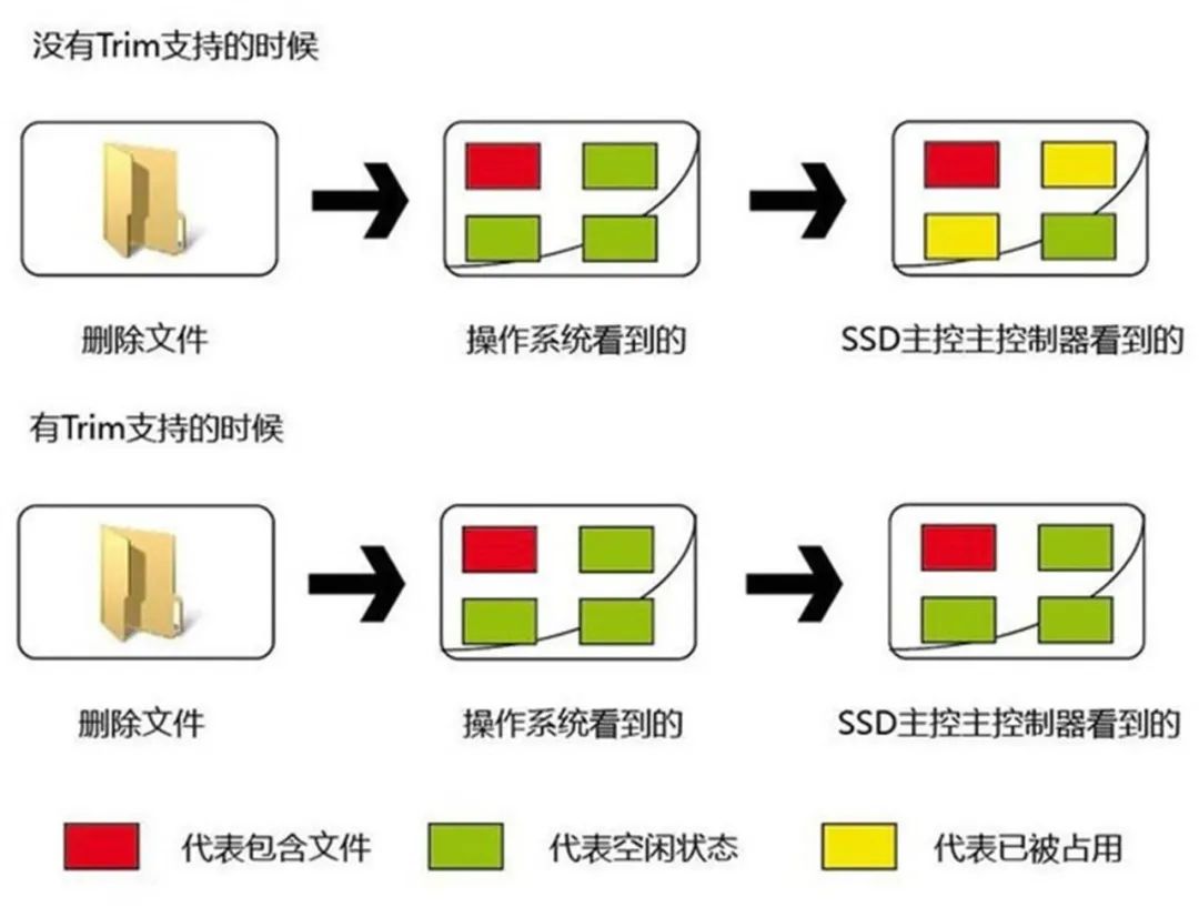 小科普小视频,小科普的合集