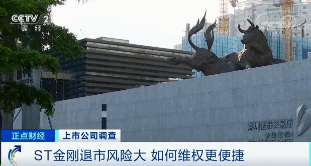 原实控人财务造假罚款由谁承担,连续三年财务造假就被退市