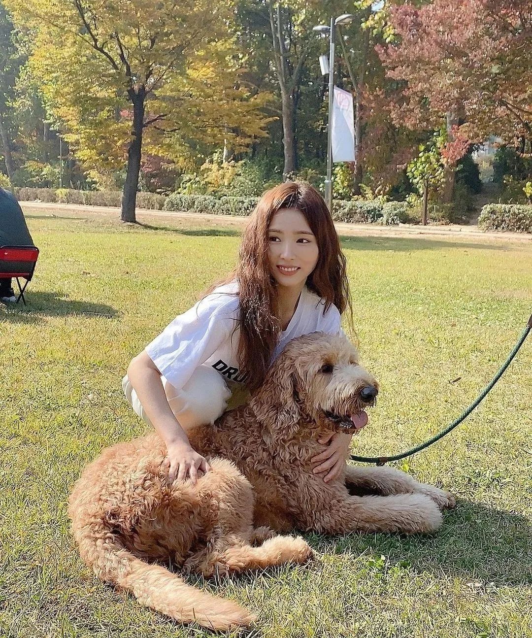 申世景为什么那么美,申世景颜值巅峰图片