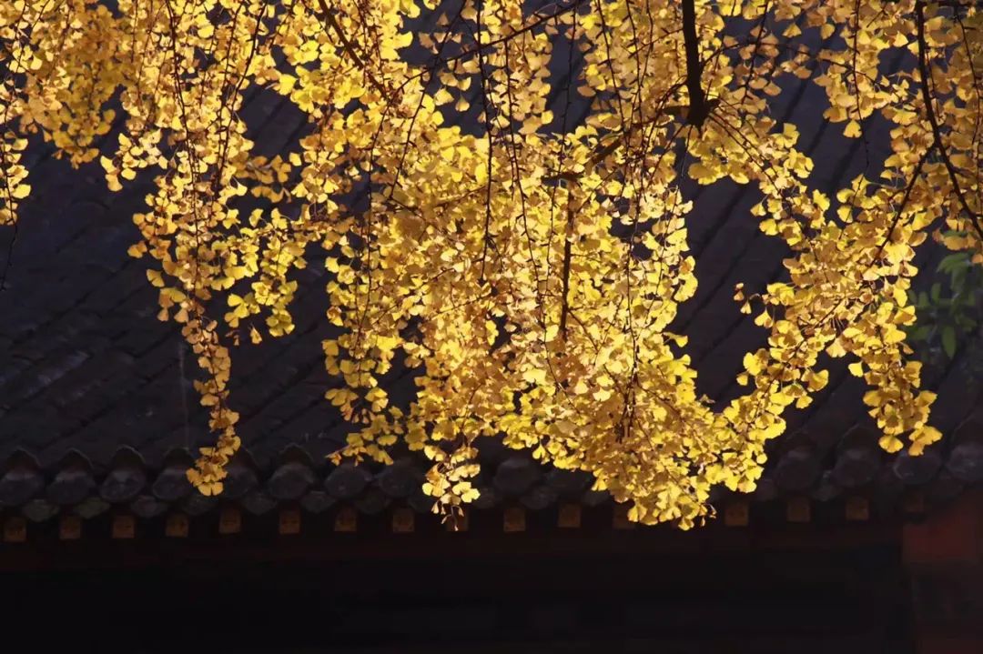 成都文殊坊非遗市集,成都文殊坊汉服特色街