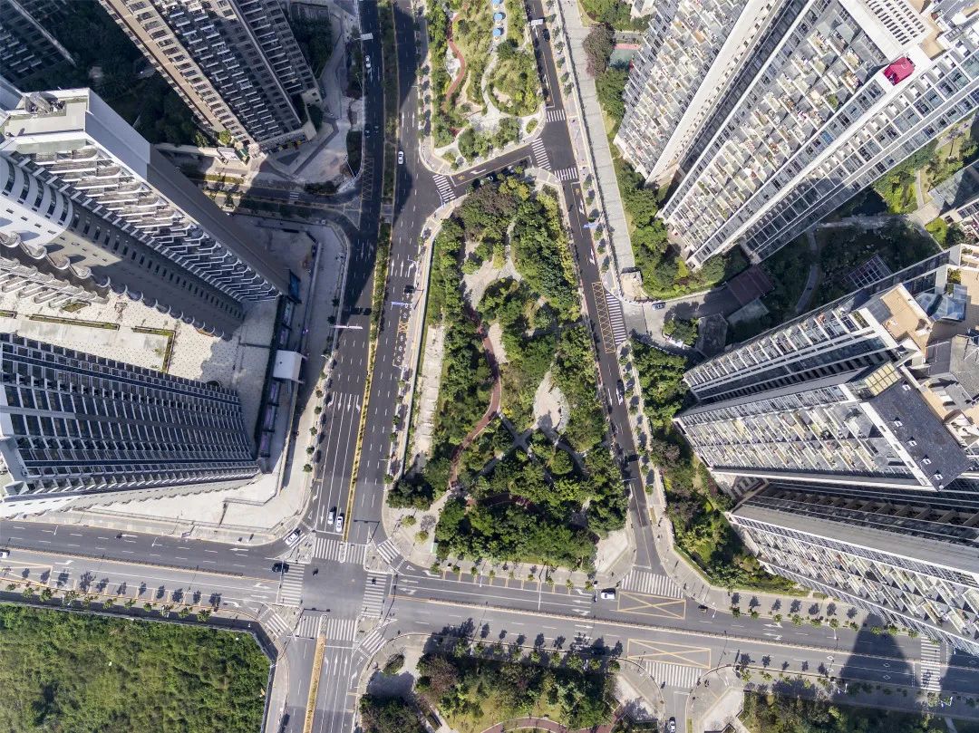 [春节留深]龙华游园攻略之民治街道篇