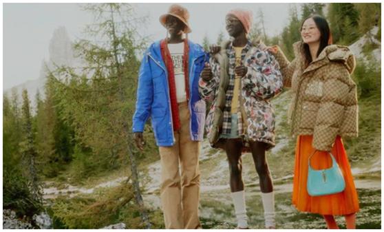 怎么花最少的钱买真大鹅,怎样才能买到真正的正宗的大鹅