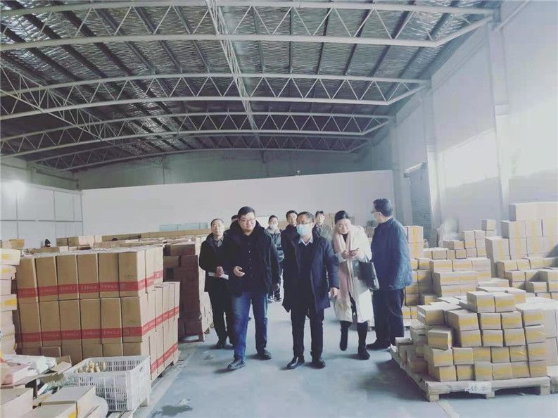 机遇蕴含精彩，合作铸就辉煌——镇平县召开电商工作（雪枫）现场会