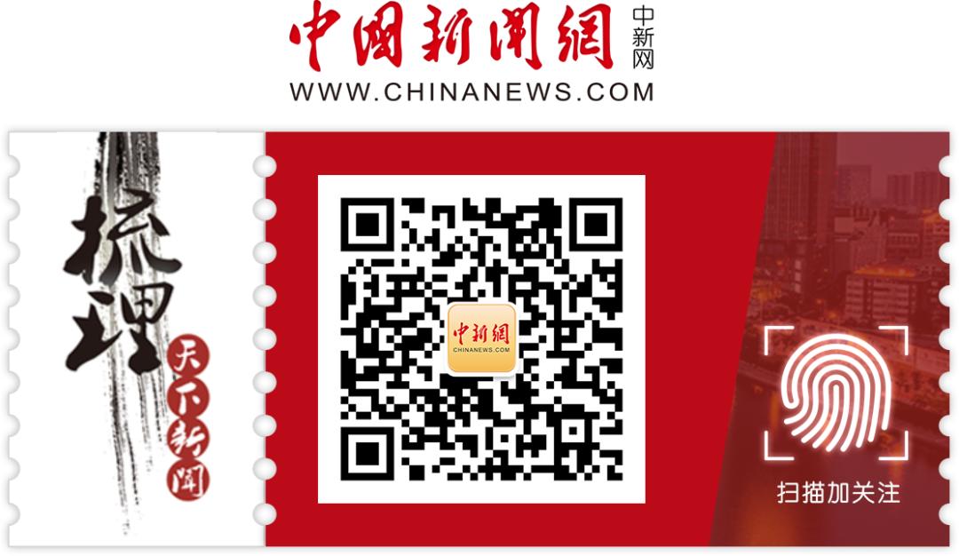 这几个公众号值得你每晚细细品读,这几个公众号带你进行深度阅读