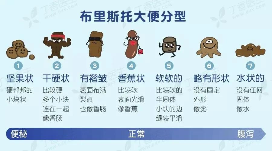 告诉你个傻瓜型便秘解决方法,揭秘解决便秘路上不为人知的秘密